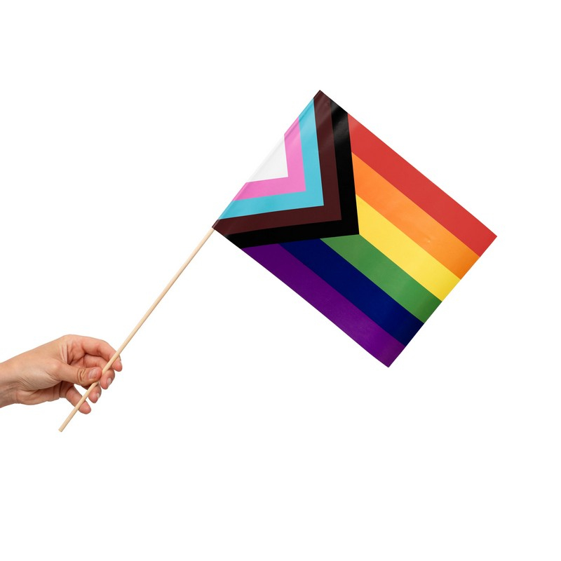 Progress Pride Flag På Pinde