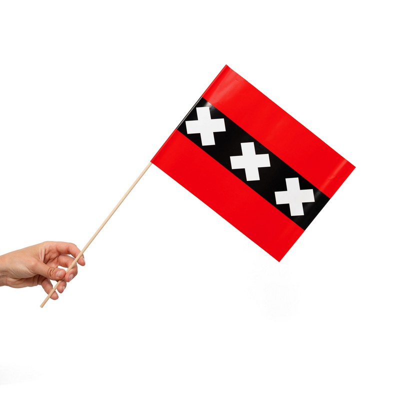 Amsterdam Flag På Pinde