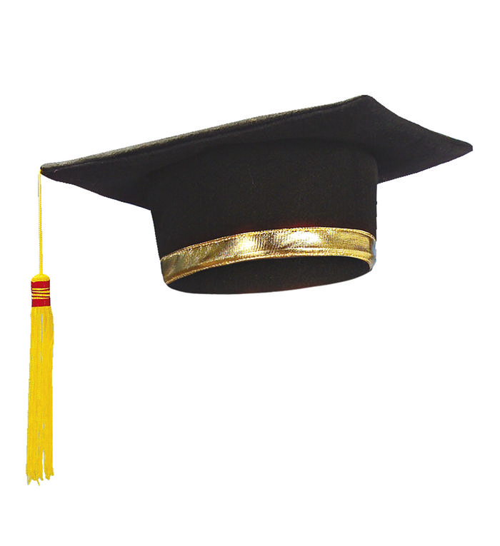 Gradueringshat Deluxe | Skole Hat / Hue / Hjelm - Hovedtilbehør - Temashop