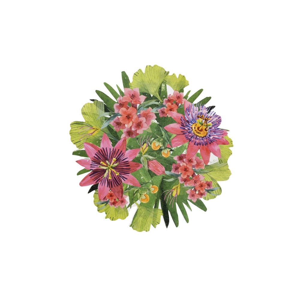 Passionsblomst Dækkeservietter Grøn/Lyserød