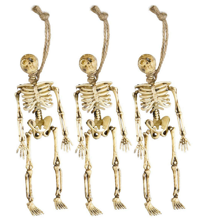 Hængende Skeletter