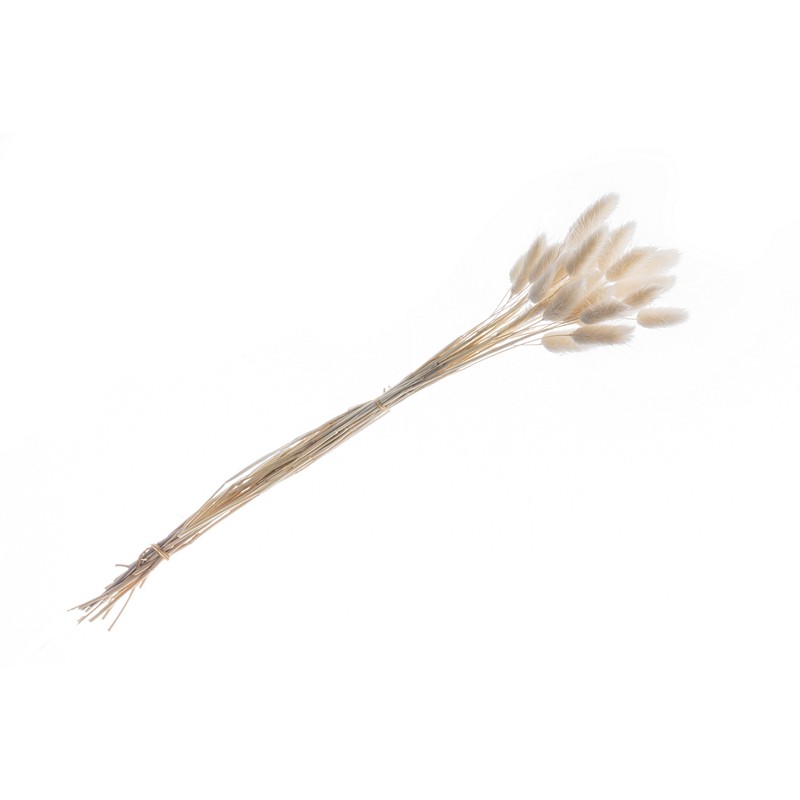 Harehale Hvid - 25 stk (50-60 cm) | Natur tema Blade - Temashop