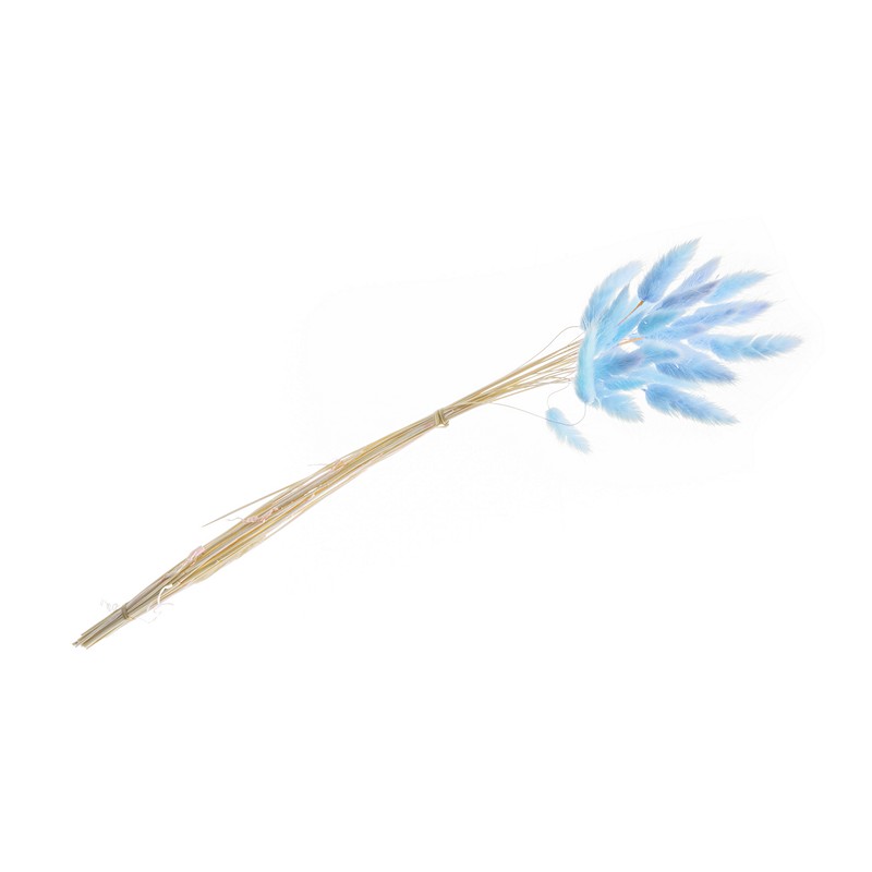 Harehale Lyseblå - 25 stk (50-60 cm) | Natur tema Blade - Temashop