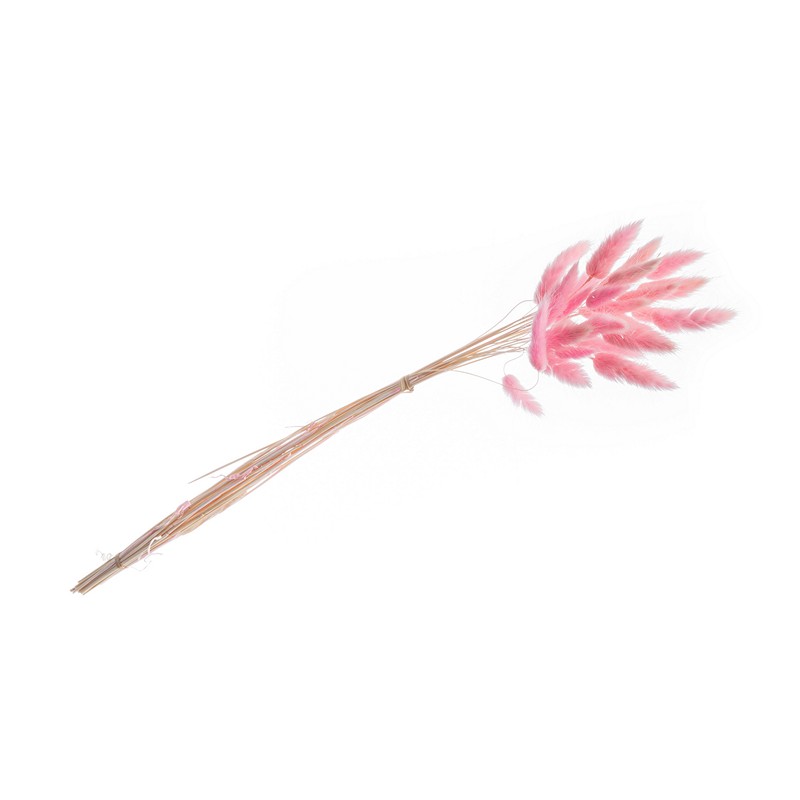 Harehale Lyserød - 25 stk (50-60 cm) | Natur tema Blade - Temashop