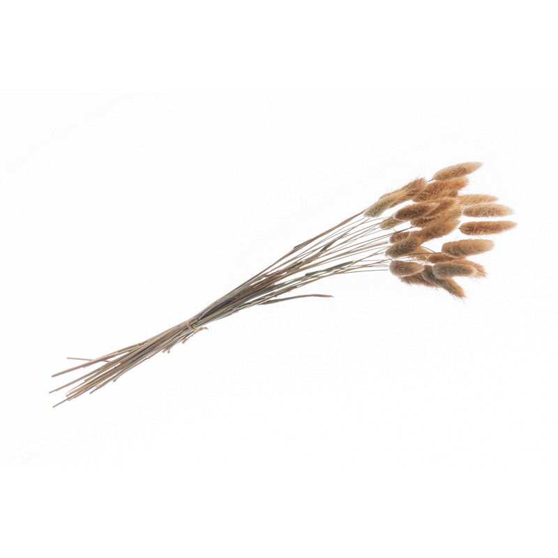 Harehale Natur - 25 stk (50-60 cm) | Natur tema Blade - Temashop