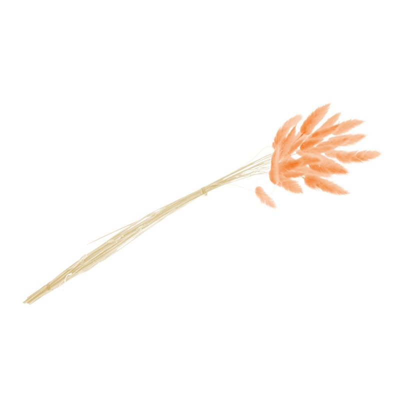 Harehaler Orange - 25 stk (50-60 cm) | Natur tema Kunstige blomster - Temashop