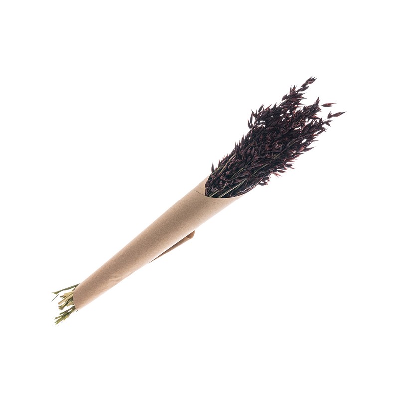 Havregræs Brun - 1 stk (65 cm) | Natur tema Blade - Temashop