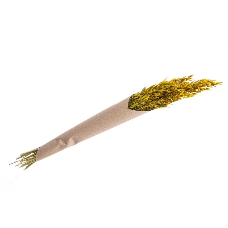 Havregræs Gul - 1 stk (65 cm) | Natur tema Blade - Temashop