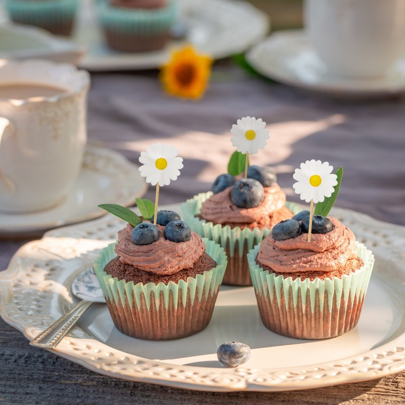 Marguerit Kagepinde - 10 stk (10,5 cm) | Blomst Kagepinde - Temashop