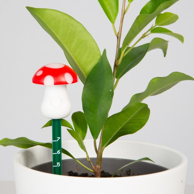 Svamp Plante Fugtighedsmåler (6 x 3 x 16 cm) | Blomst Praktisk Til Hjemmet - Temashop