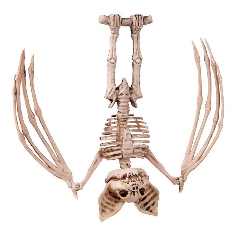 Skeletflagermus