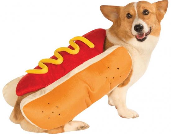 Hot Dog Hundekostume