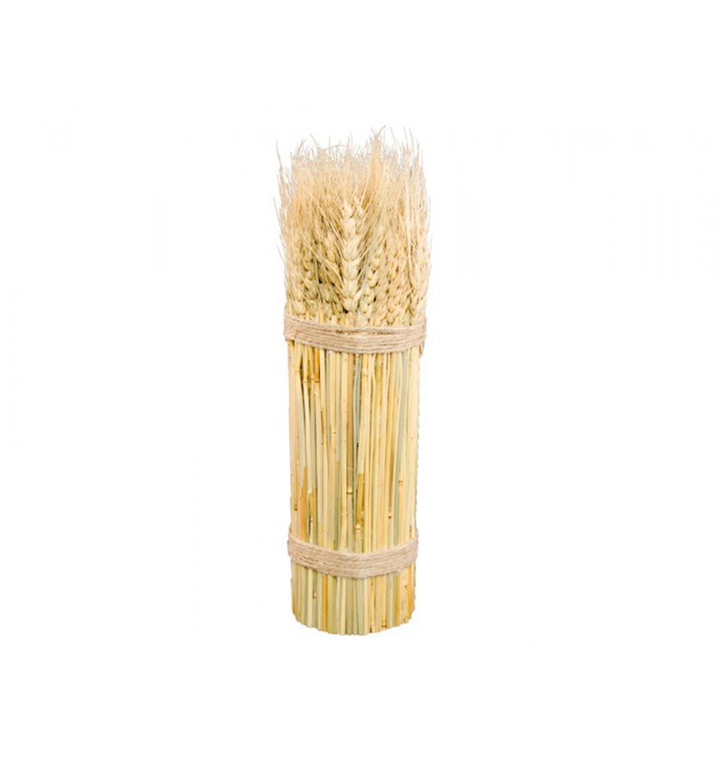 Hvede Evighedsbuket - 1 stk (6 x 26 cm) - Temashop