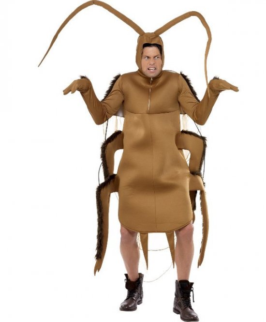 Kakerlak Kostume - Dyr kostume til voksne i størrelserne M | Insekter kostume til mænd - Temashop