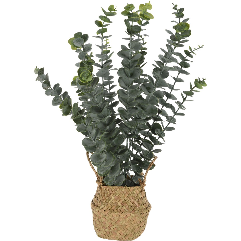 Kunstig Eukalyptus I Kurv - 1 stk (22 x 22 x 50 cm) | Natur tema Kunstige blomster - Temashop