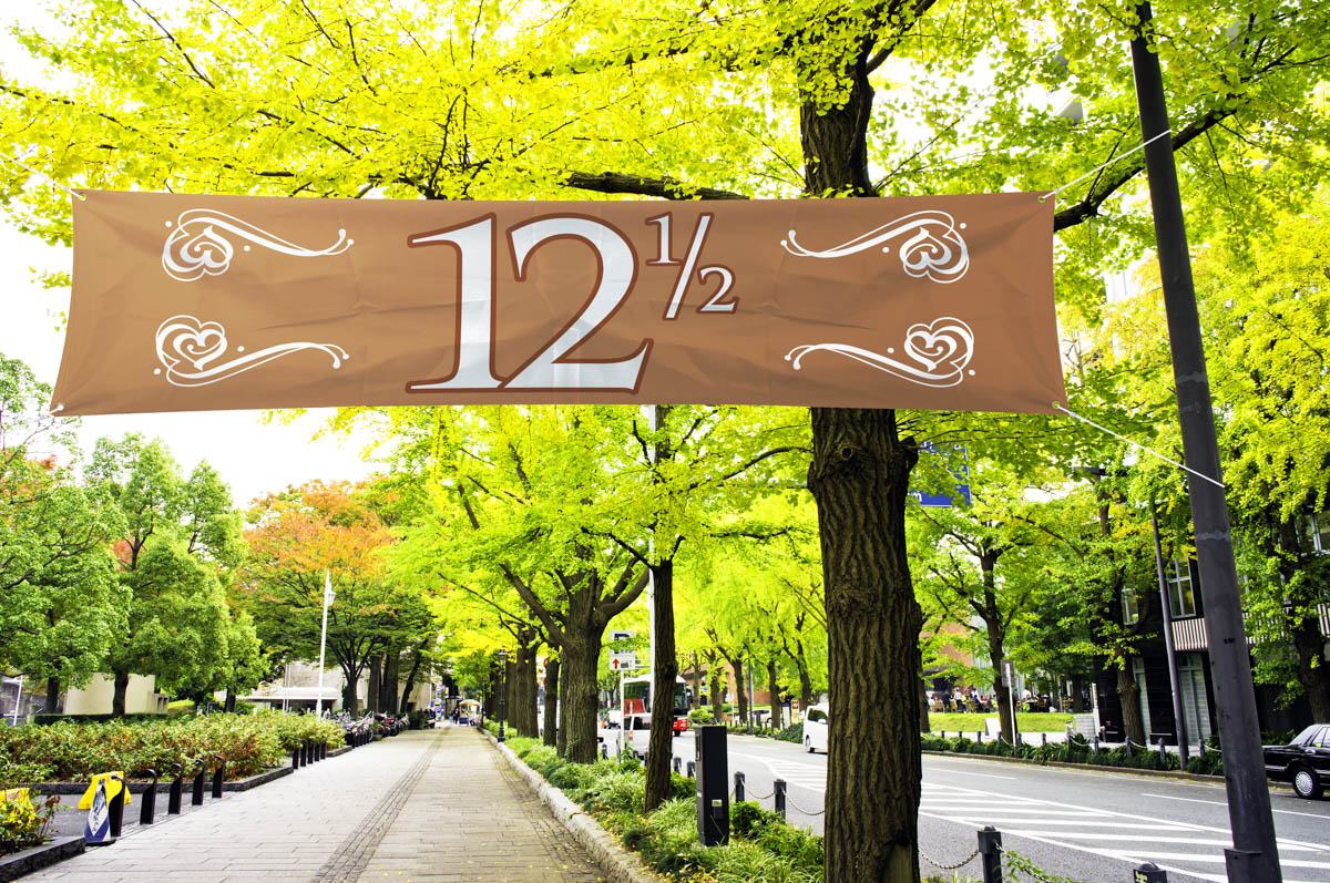 Kobberbryllup Banner - 1 stk (180 x 40 cm) | Kobberbryllup Bannere - Temashop