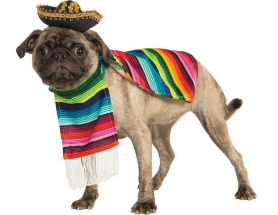 Mexicansk Poncho Hundekostume