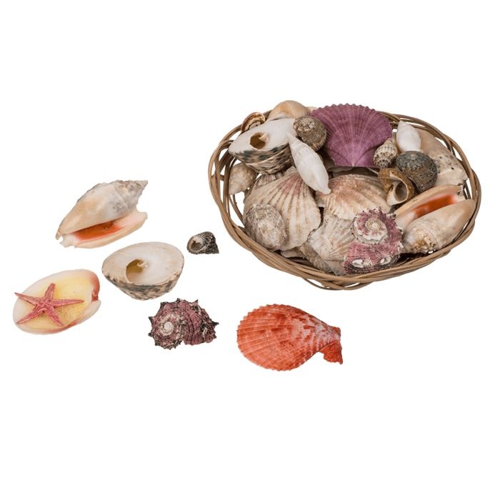 Muslinger & Søstjerner I Kurv - 1 stk (15 x 6,5 cm) | Havet Centerpieces - Temashop