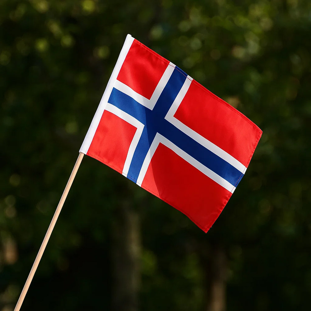 Norge Flag - 1 stk (30 x 40 cm) | Norge Flag - Temashop
