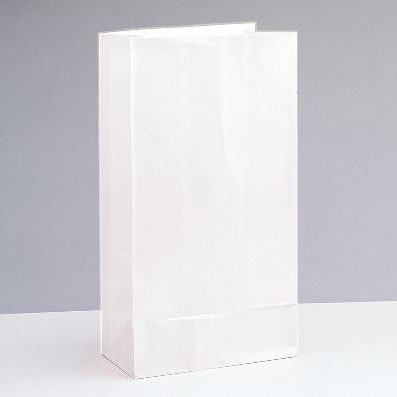 Party Papirsposer Hvid - 12 stk (25,4 x 13,3 x 8,9 cm) - Temashop