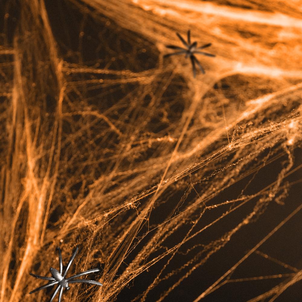 Falsk Spindelvæv Orange