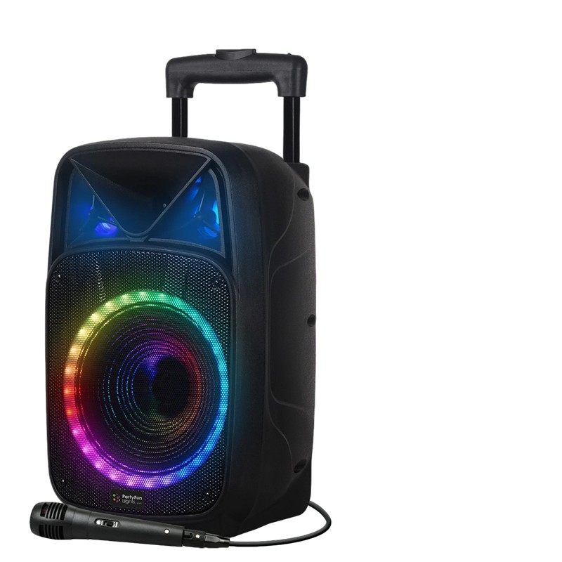 8'' Bærbar Karaoke Højttaler