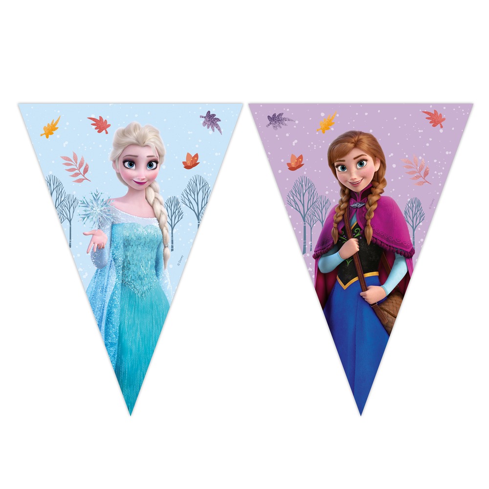 FrozenÂ® Flagbanner