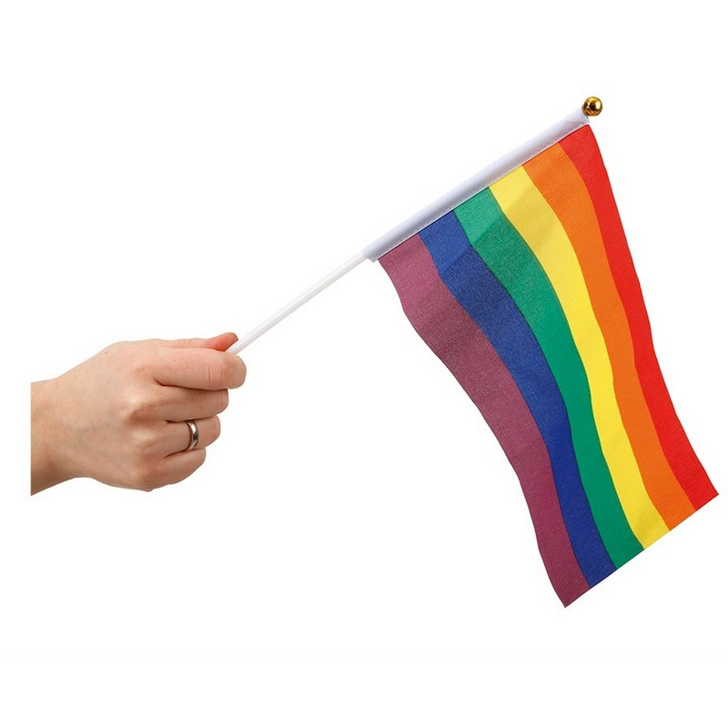Pride Flag På Pind - 1 stk (25 x 16 cm) | Pride Flag - Temashop