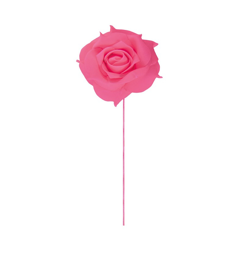 Roser På Stilk Fuchsia - 2 stk (10 cm) | Blomst Blade - Temashop