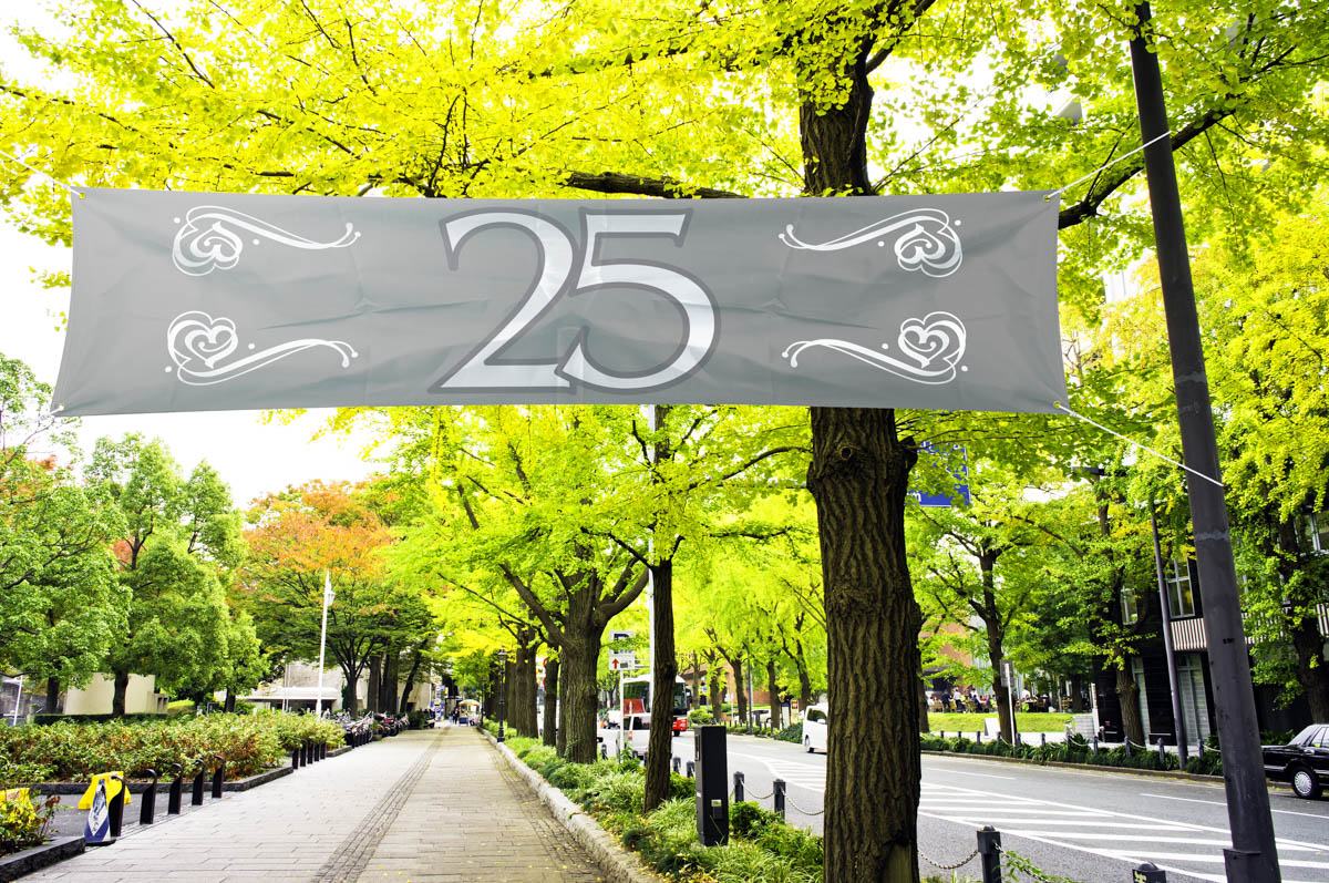 Sølvbryllup Banner - 1 stk (180 x 40 cm) | Sølvbryllup Bannere - Temashop