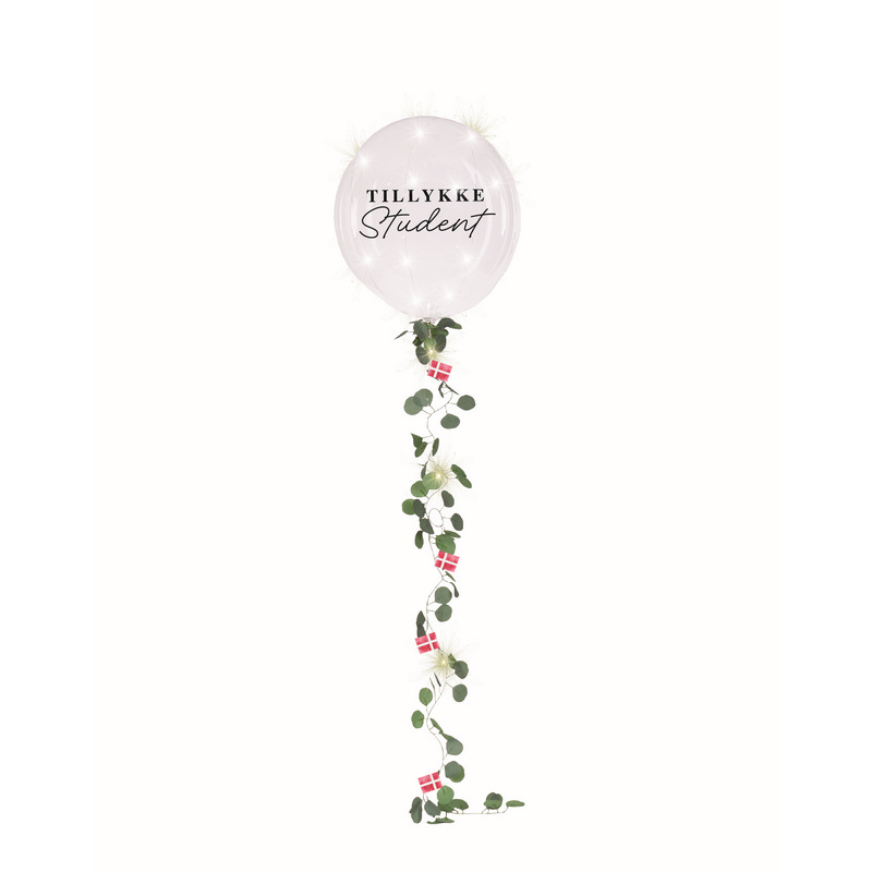 Tillykke Student LED Ballon & Ballonhale - 1 stk | Studerende LED balloner - Temashop