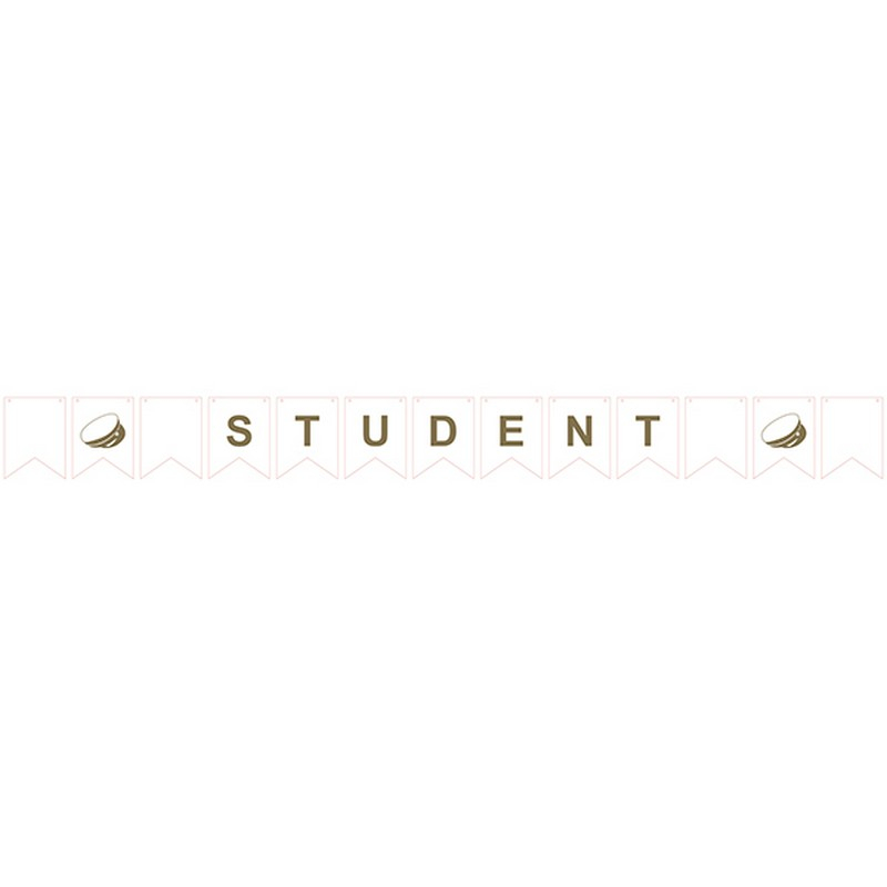 Student Flagguirlande - 1 stk | Studerende Guirlander - Temashop