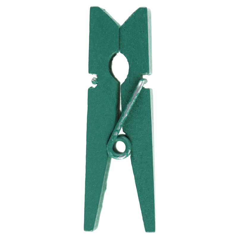Træklemmer 3,5 cm Eukalyptus Grøn - 12 stk (3,5 cm) | Grønt tema Klemmer - Temashop