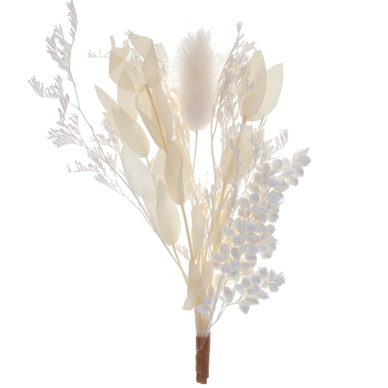 Tørret Harehalegræs Buket Hvid - 1 stk (6,5 x 12 cm) | Blomst Kunstige blomster - Temashop