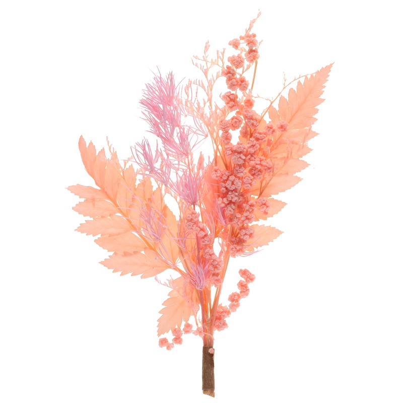 Tørret Bregne Buket Fersken - 1 stk (6,5 x 12 cm) | Blomst Kunstige blomster - Temashop