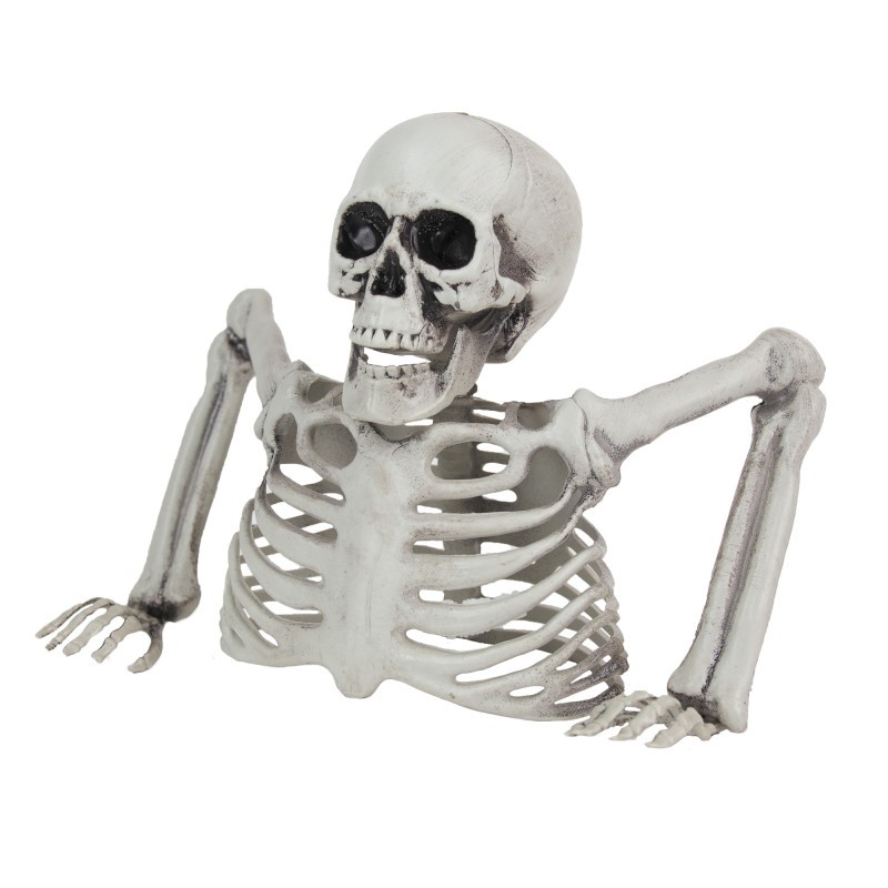 Skelet Overkrop