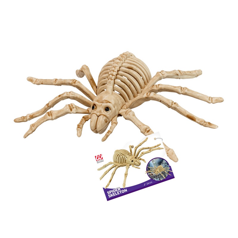 Edderkop Skelet