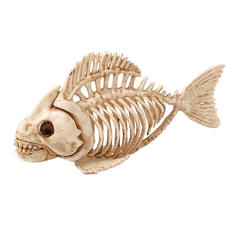 Fisk Skelet