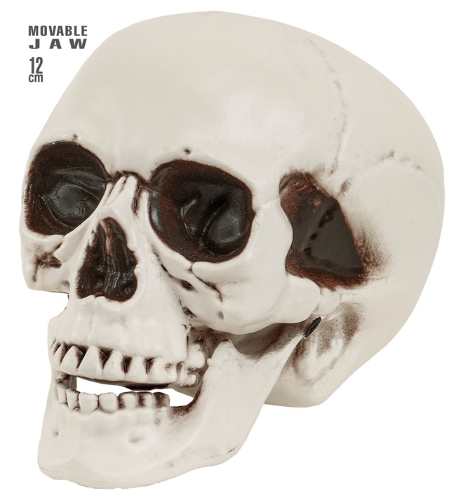 Kranie Med Bevægelig Kæbe - 1 stk (12 cm) | Skelet Halloweenpynt - Temashop
