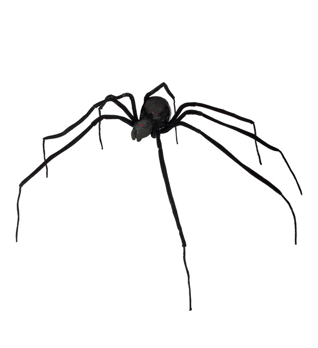 Stor Black Widow Edderkop Sort
